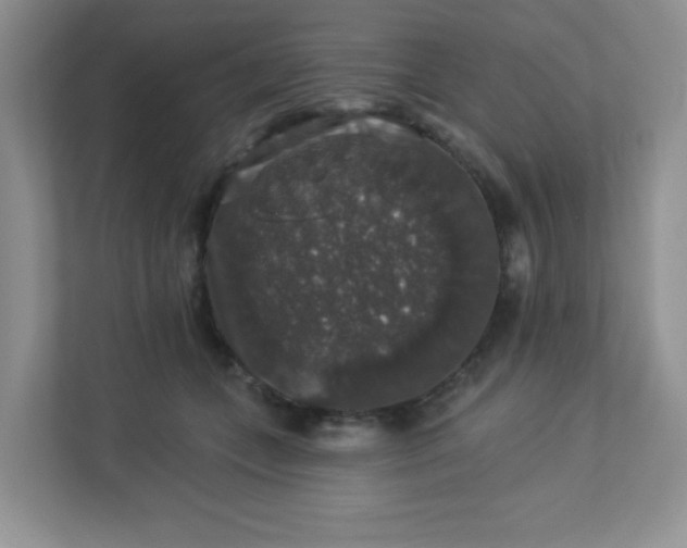 X0000113280559200909280954