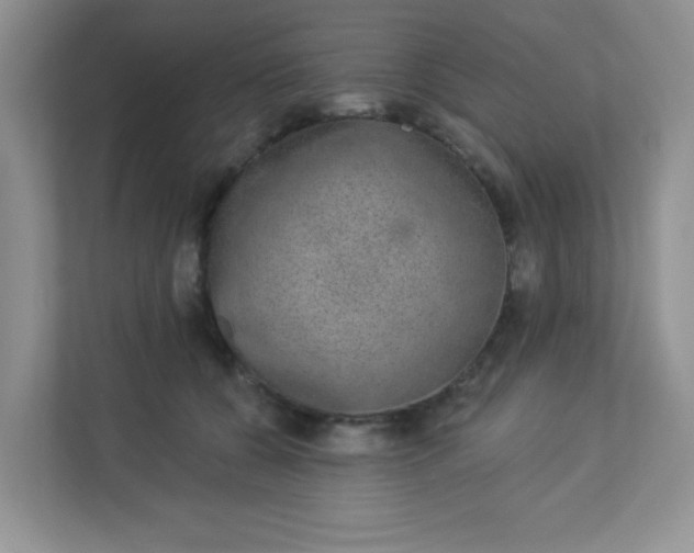 X0000113280560200909280954