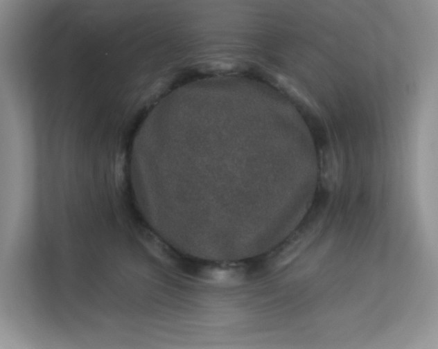 X0000113280563200909280954