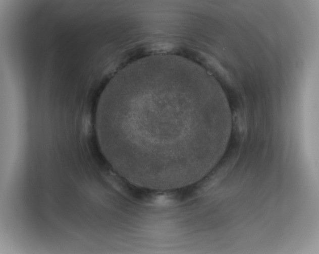 X0000113280564200909280954