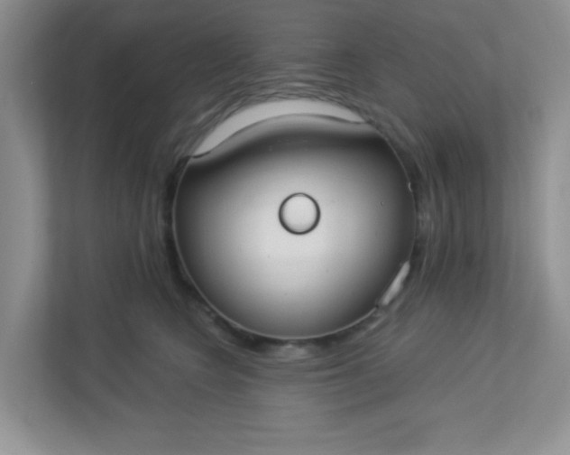 X0000113280566200909280954