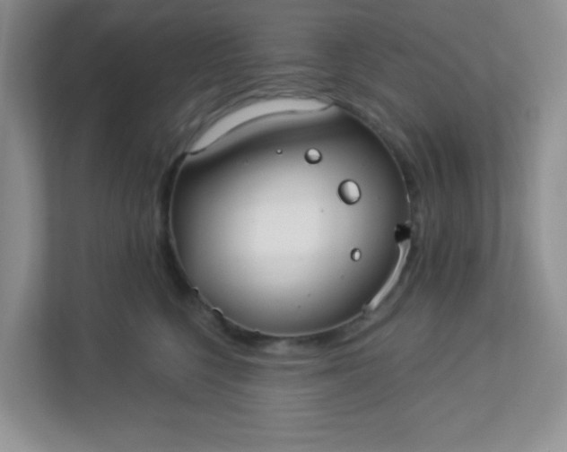 X0000113280568200909280954