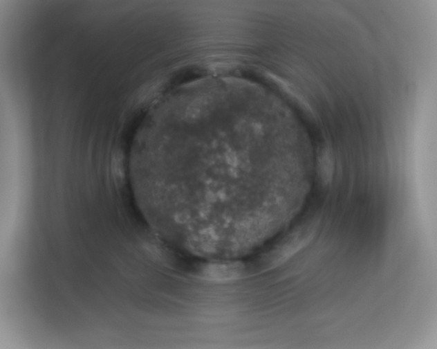 X0000113280571200909280954