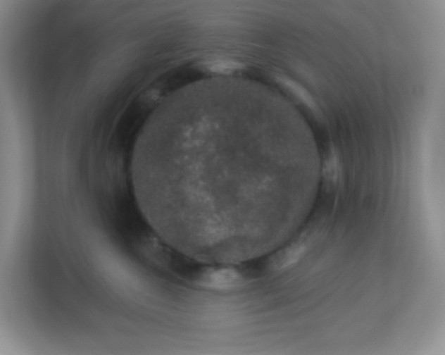 X0000113280572200909280954