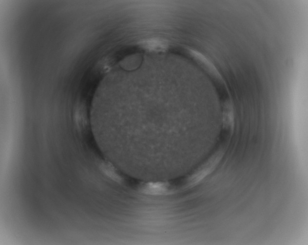 X0000113280573200909280954