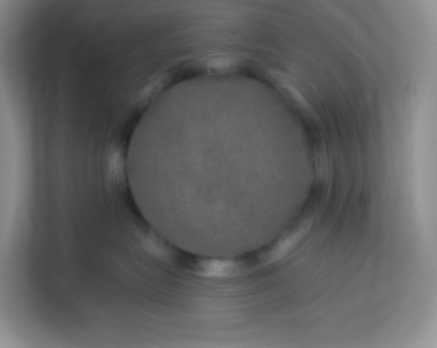 X0000113280575200909280954