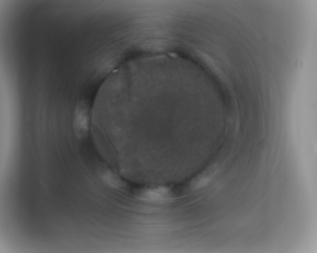 X0000113280576200909280954