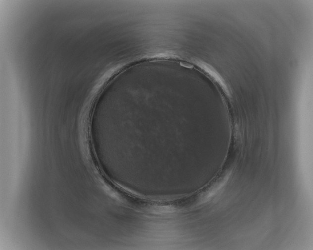 X0000113280577200909280954