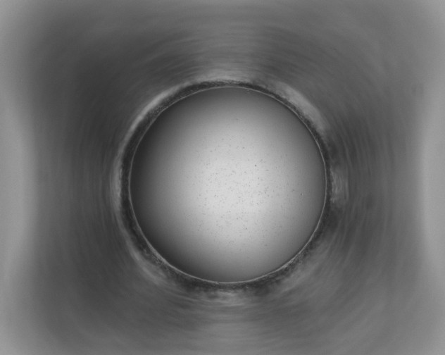 X0000113280580200909280953