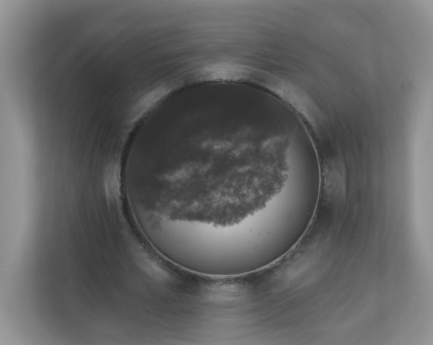 X0000113280581200909280953