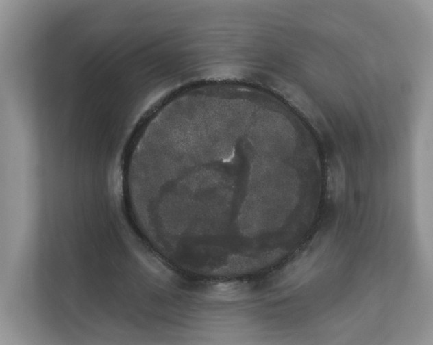 X0000113280584200909280953