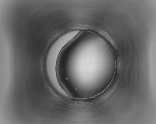 X0000113280585200909280953