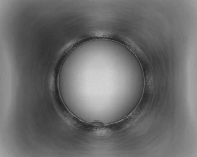 X0000113280587200909280953