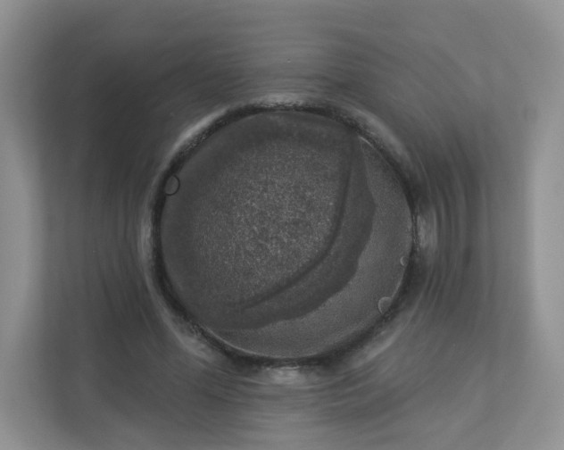 X0000113280588200909280953