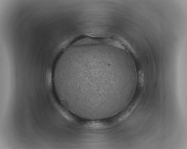 X0000113280589200909280953