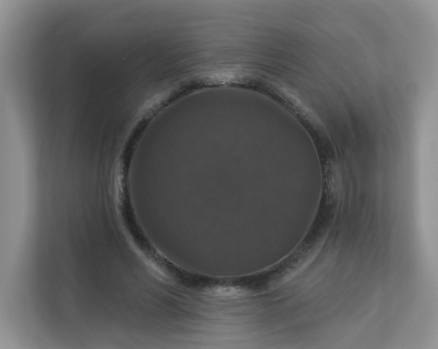 X0000113280590200909280953