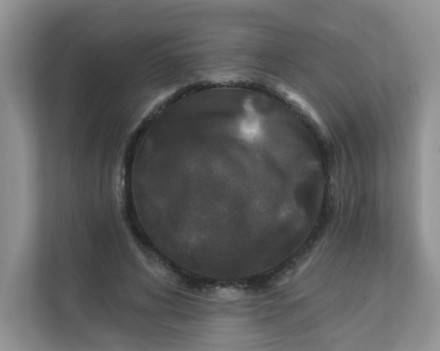 X0000113280592200909280953