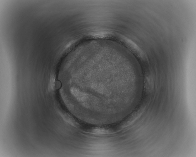 X0000113280596200909280953