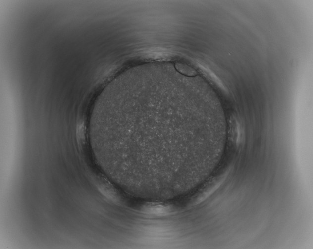 X0000113280597200909280953