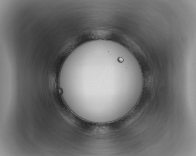 X0000113280599200909280953