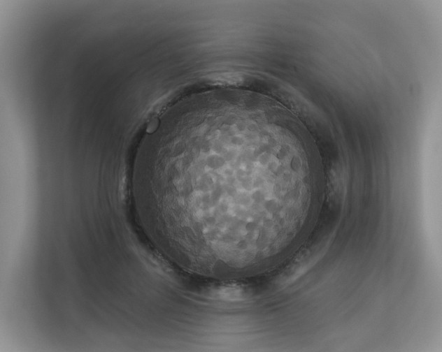 X0000113280600200909280953