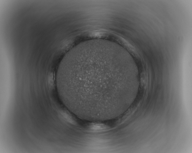 X0000113280605200909280953