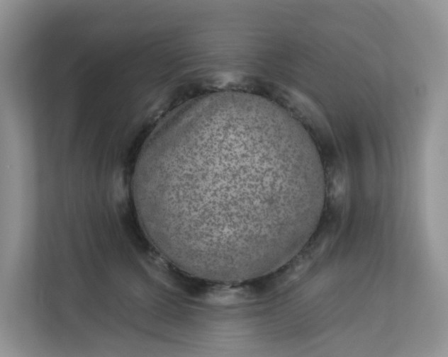 X0000113280607200909280953