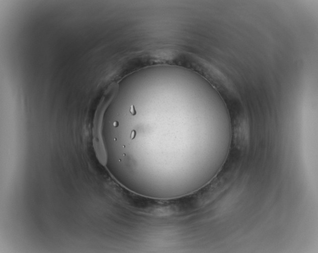 X0000113280608200909280953