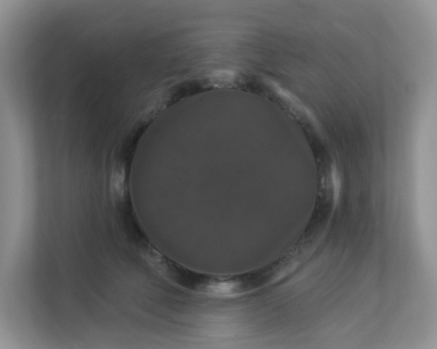 X0000113280610200909280953