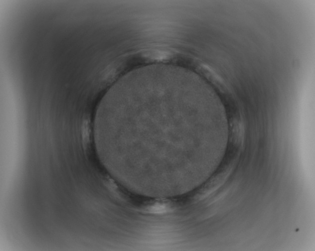 X0000113280612200909280953