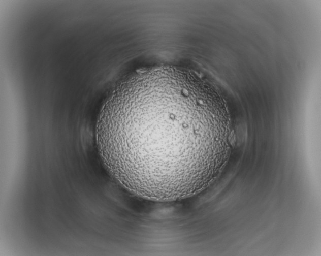 X0000113280613200909280953