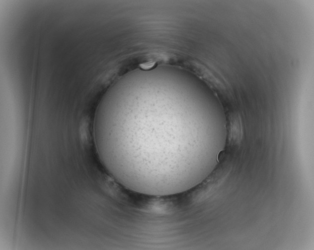 X0000113280616200909280953