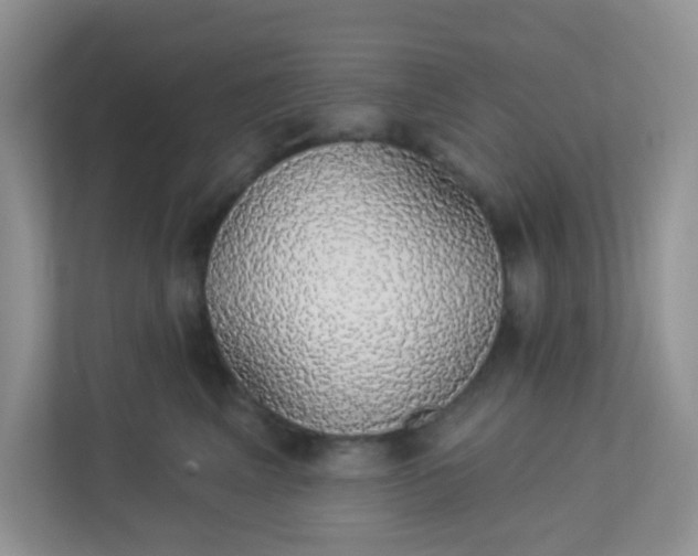 X0000113280617200909280953