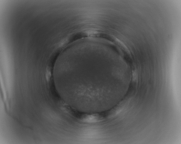 X0000113280618200909280953