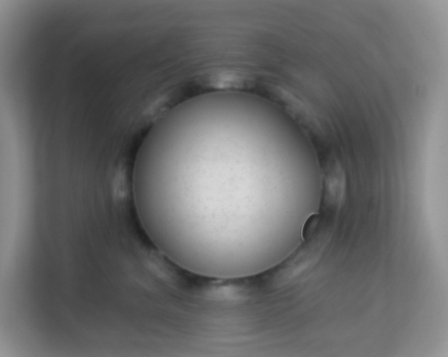 X0000113280620200909280953