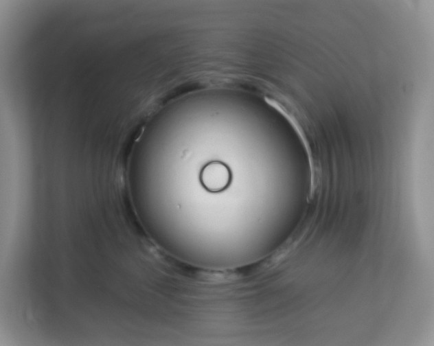 X0000113280621200909280953