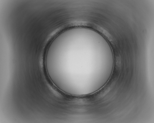 X0000113280629200909280952