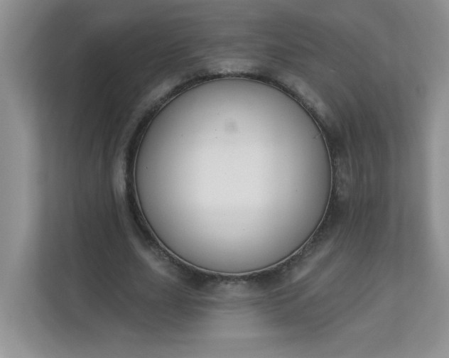 X0000113280631200909280952