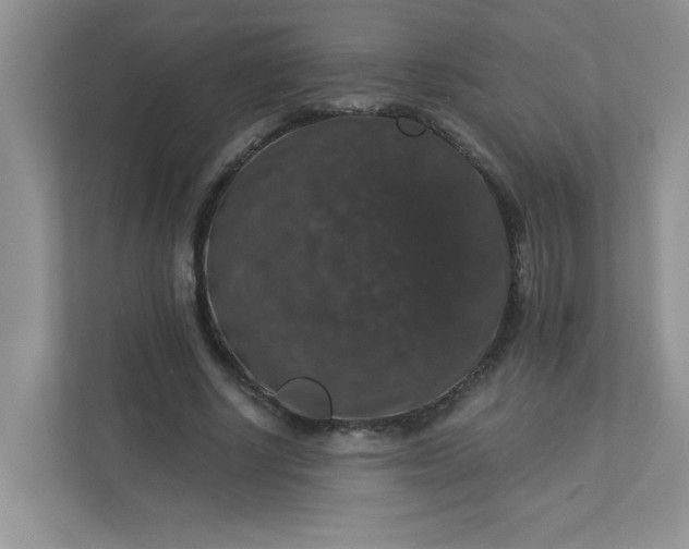 X0000113280634200909280952