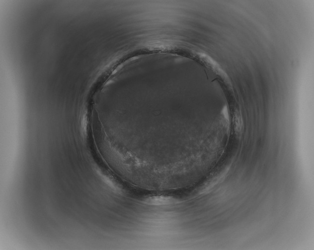 X0000113280637200909280952