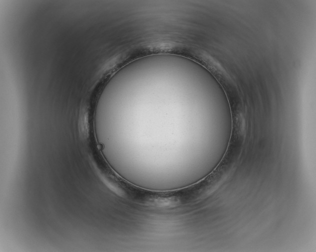 X0000113280638200909280952