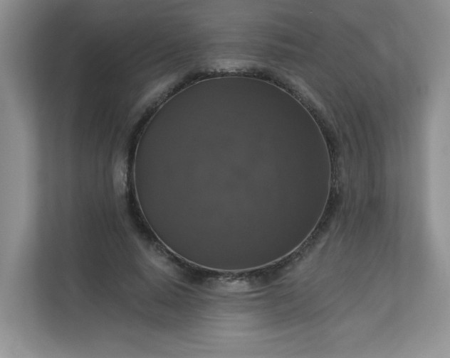 X0000113280640200909280952