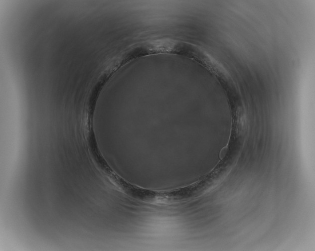 X0000113280641200909280953