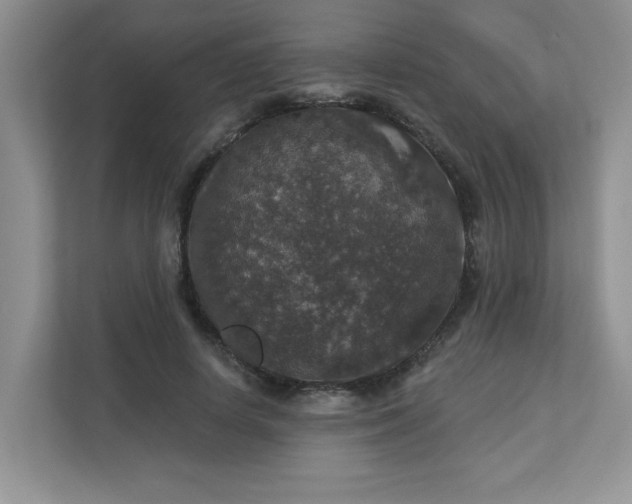 X0000113280642200909280953