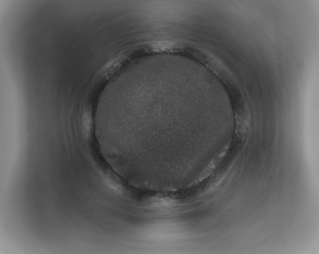 X0000113280648200909280953