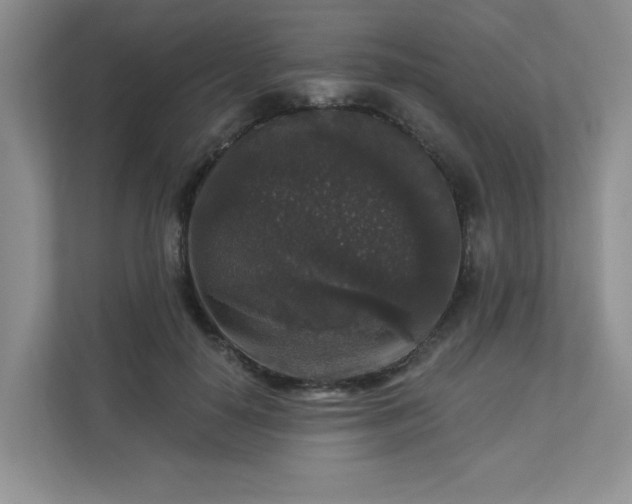 X0000113280650200909280953