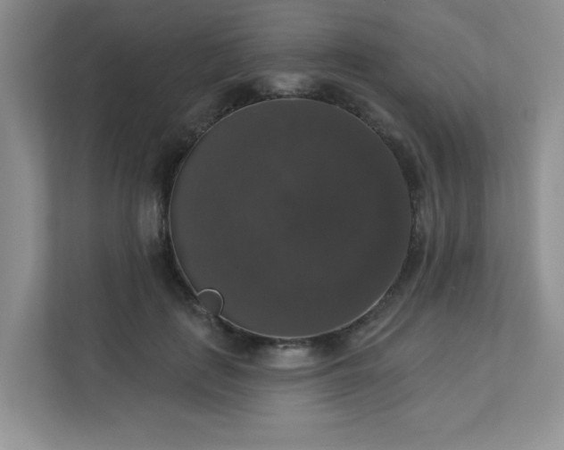 X0000113280651200909280953