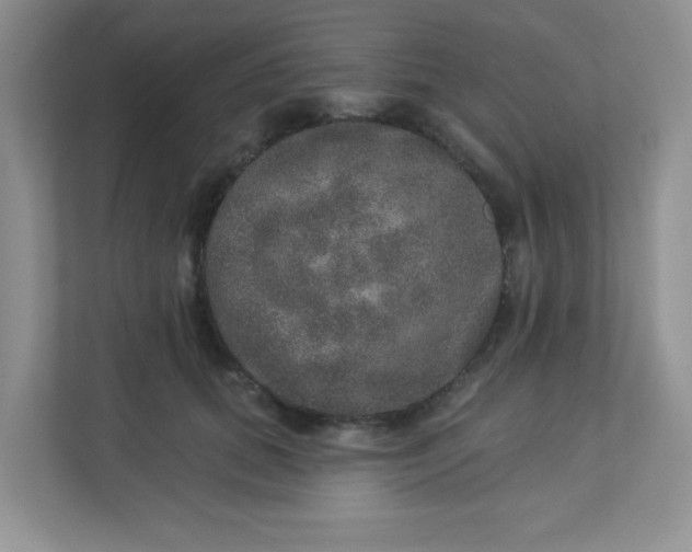 X0000113280655200909280953