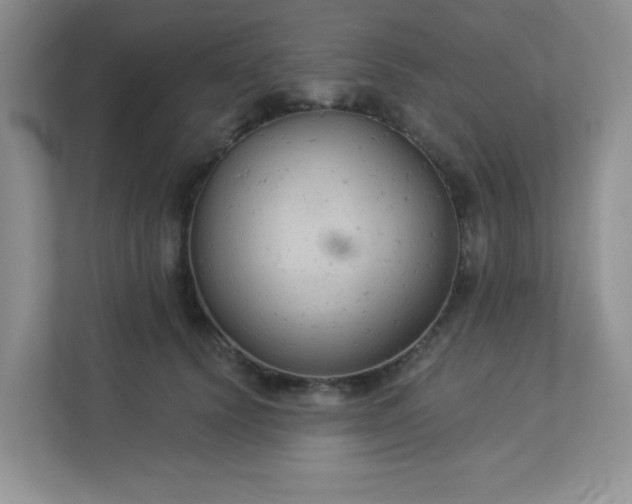 X0000113280656200909280953