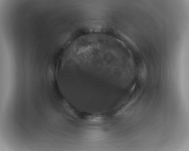 X0000113280661200909280953